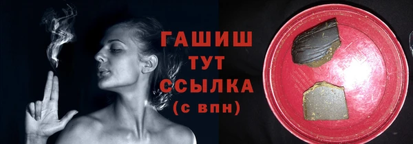 мдпв Вяземский