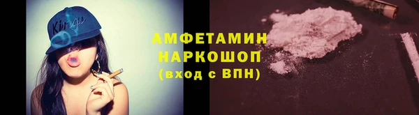 мдпв Вяземский
