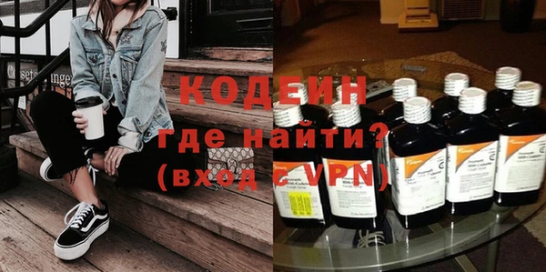 мдпв Вяземский