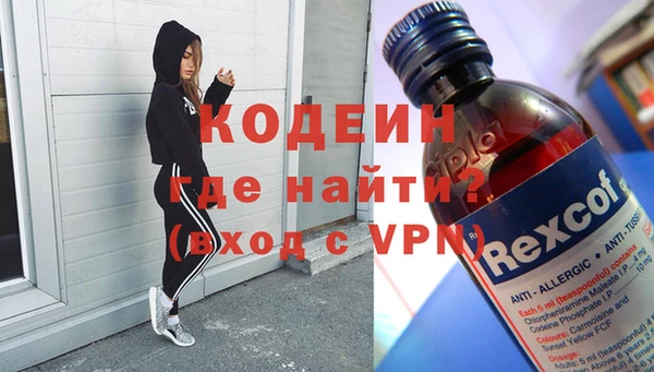 мдпв Вяземский
