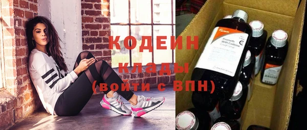 мдпв Вяземский