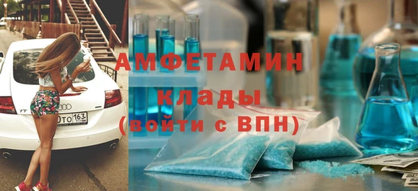мдпв Вяземский