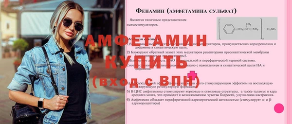 мдпв Вяземский