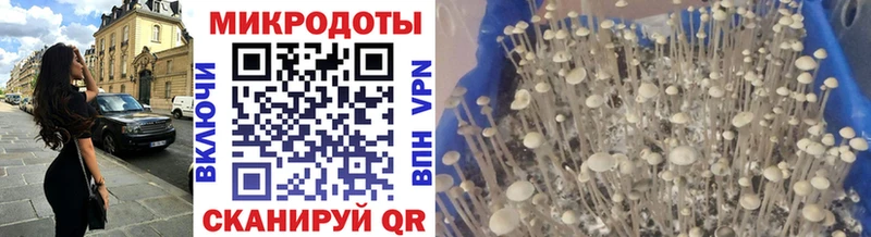 Галлюциногенные грибы ЛСД  Купить где  Каневская 